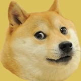 Dogefy (@dogefy_bot) telegram bot image