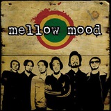 Mellow Mood (@mellow_bot) telegram bot image