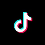 TikTok Downloader (@tiktok_dbot) telegram bot image