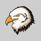 Eagle post views (@eagleviewsbot) telegram bot image