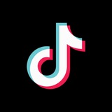 TikTok Downloader (@jaybeetiktokbot) telegram bot image