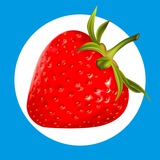 Клубничная Логика | Strawberry Logic (@strawberrylogicbot) telegram bot image