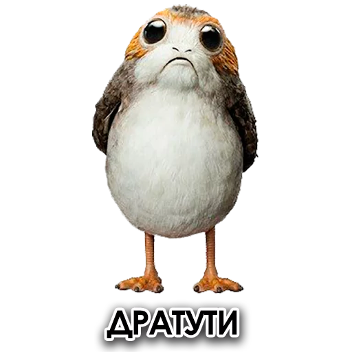 Sticker from the "Star Wars Porgs" sticker pack