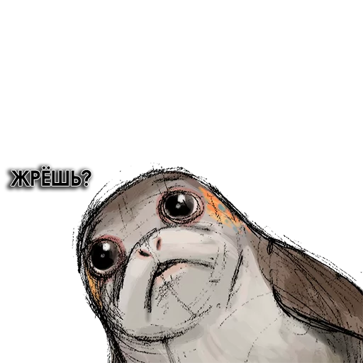 Sticker from the "Star Wars Porgs" sticker pack