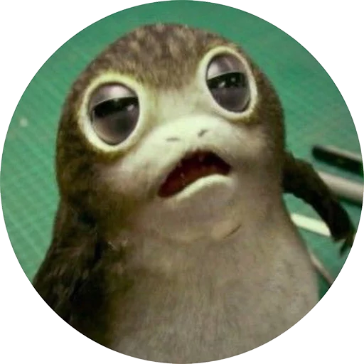 Sticker from the "Star Wars Porgs" sticker pack