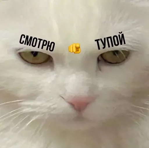 Sticker from the "Миу боты" sticker pack