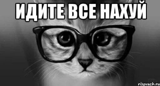 Стикер из набора "Kitties.exe"