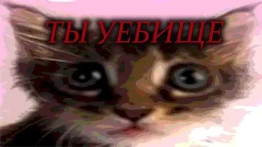 Стикер из набора "Kitties.exe"