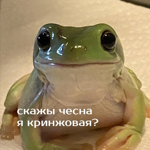 Sticker from the "Легущьки «Горящей избы» 🐸🔥" sticker pack