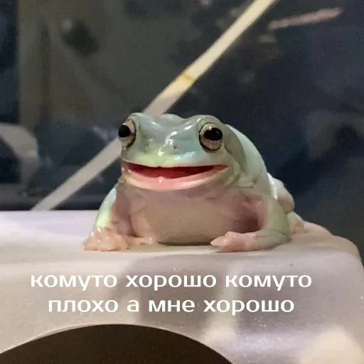 Sticker from the "Легущьки «Горящей избы» 🐸🔥" sticker pack