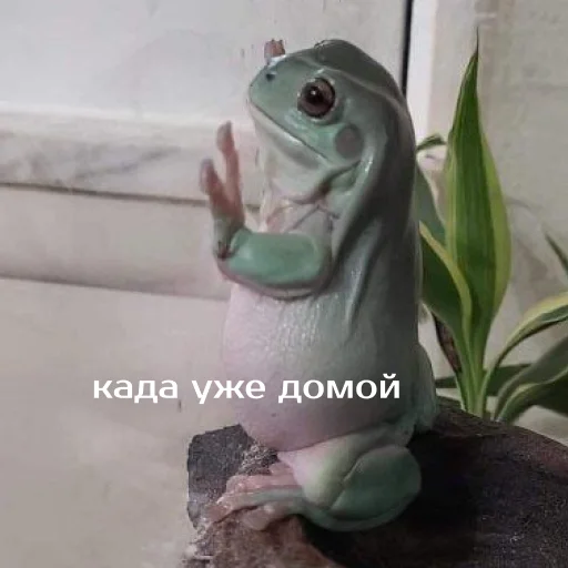 Sticker from the "Легущьки «Горящей избы» 🐸🔥" sticker pack