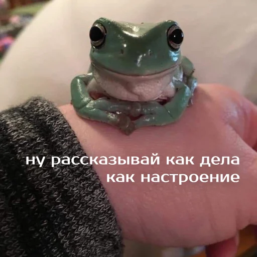 Sticker from the "Легущьки «Горящей избы» 🐸🔥" sticker pack