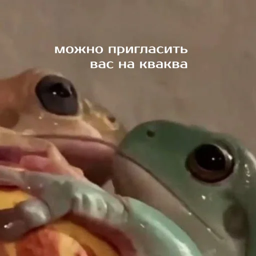 Sticker Легущьки «Горящей избы» 🐸🔥