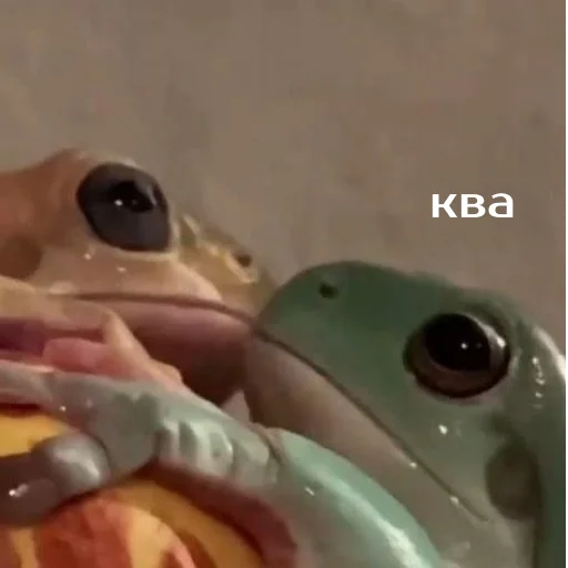 Sticker Легущьки «Горящей избы» 🐸🔥