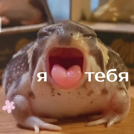 Sticker from the "Легущьки «Горящей избы» 🐸🔥" sticker pack