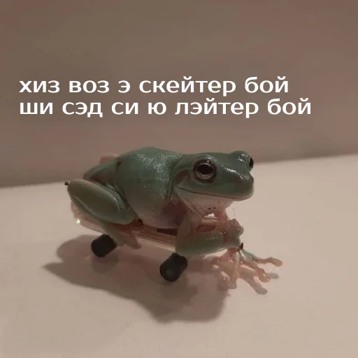 Sticker from the "Легущьки «Горящей избы» 🐸🔥" sticker pack