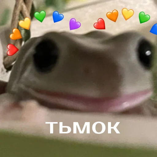 Sticker from the "Легущьки «Горящей избы» 🐸🔥" sticker pack