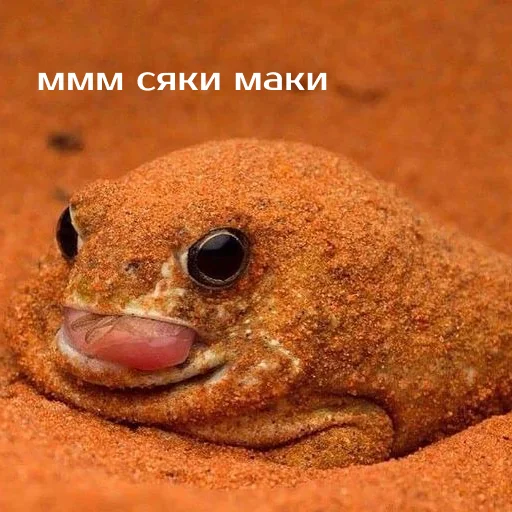 Sticker Легущьки «Горящей избы» 🐸🔥