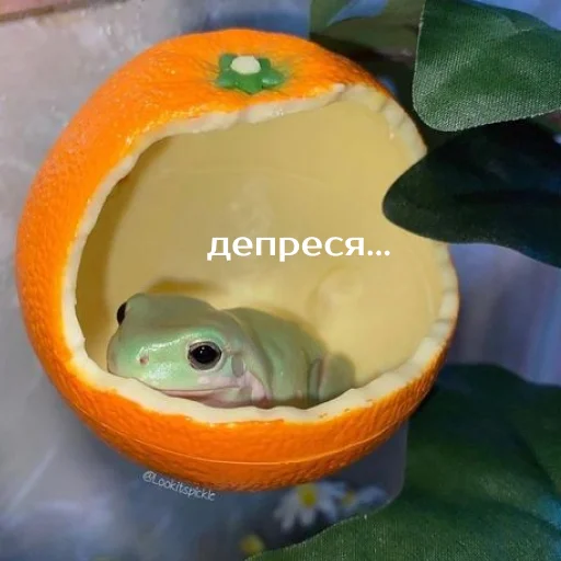 Стикер из набора "Легущьки «Горящей избы» 🐸🔥"