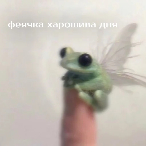 Стикер из набора "Легущьки «Горящей избы» 🐸🔥"