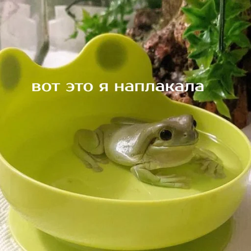 Sticker Легущьки «Горящей избы» 🐸🔥