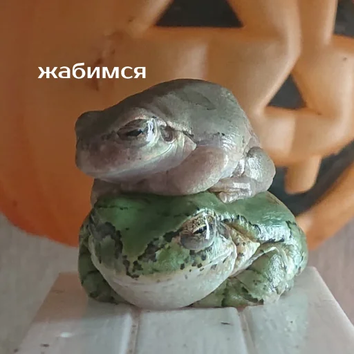 Sticker Легущьки «Горящей избы» 🐸🔥