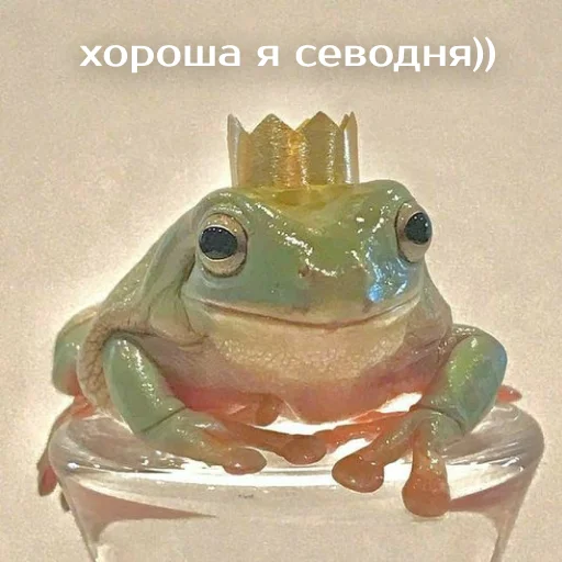 Sticker from the "Легущьки «Горящей избы» 🐸🔥" sticker pack