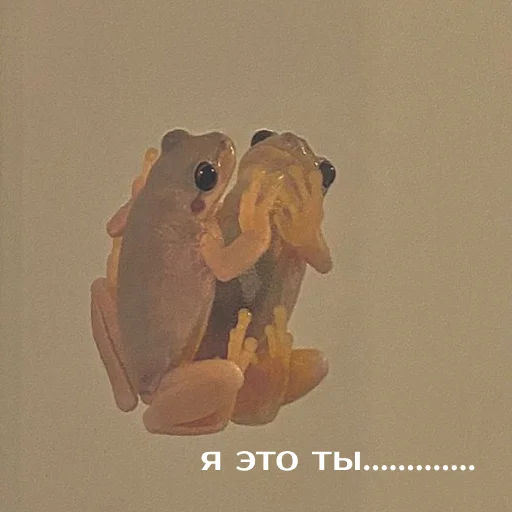 Sticker Легущьки «Горящей избы» 🐸🔥