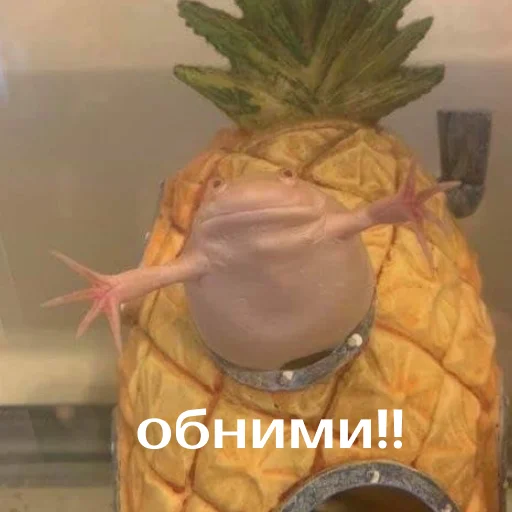 Sticker Легущьки «Горящей избы» 🐸🔥