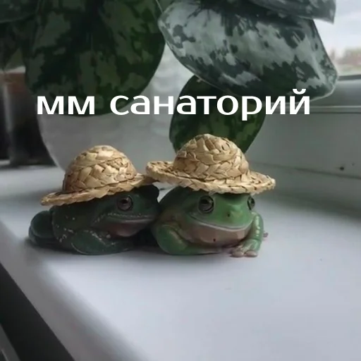 Стикер из набора "Легущьки «Горящей избы» 🐸🔥"