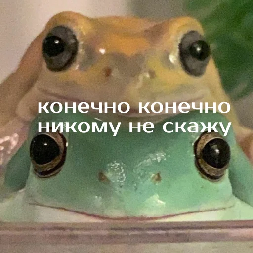 Sticker from the "Легущьки «Горящей избы» 🐸🔥" sticker pack