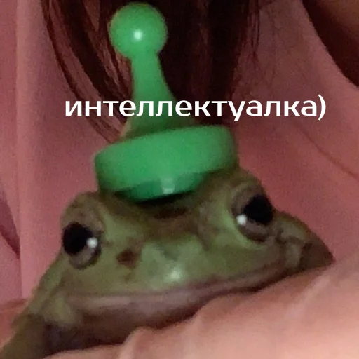 Sticker from the "Легущьки «Горящей избы» 🐸🔥" sticker pack