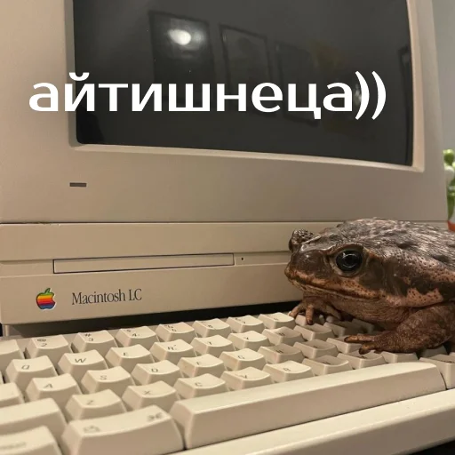 Sticker Легущьки «Горящей избы» 🐸🔥