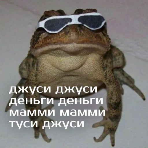 Sticker from the "Легущьки «Горящей избы» 🐸🔥" sticker pack