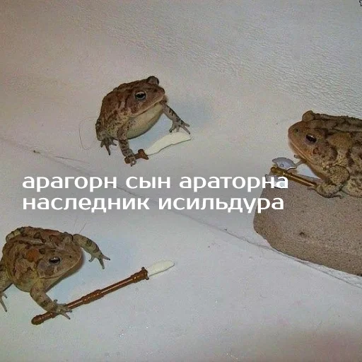 Sticker Легущьки «Горящей избы» 🐸🔥