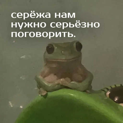 Стикер из набора "Легущьки «Горящей избы» 🐸🔥"