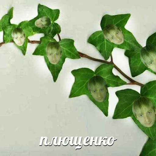 Sticker from the "рофлы с фамилиями актеров" sticker pack