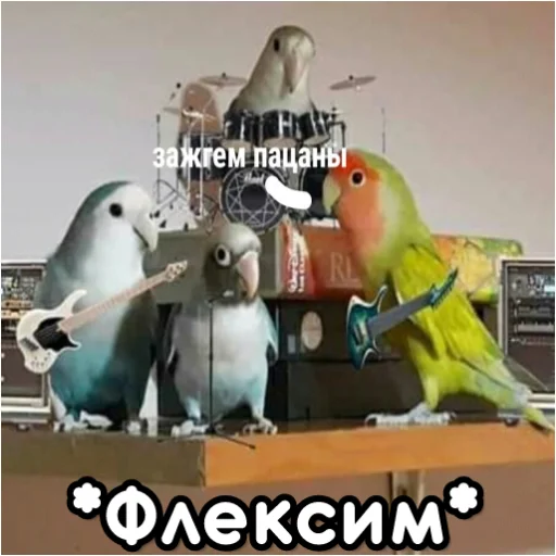 Sticker from the "Флекс папуги" sticker pack