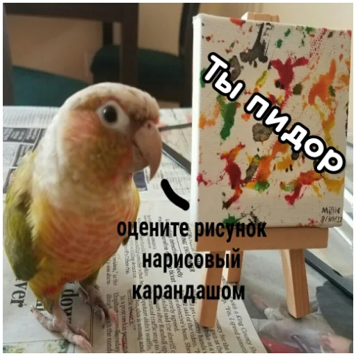 Sticker from the "Флекс папуги" sticker pack