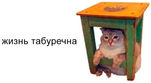 Sticker from the "мс пох" sticker pack