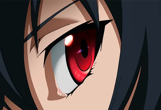 Sticker from the "Akame ga Kill!" sticker pack