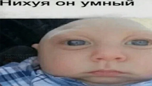 Стикер из набора "ArePek memes"