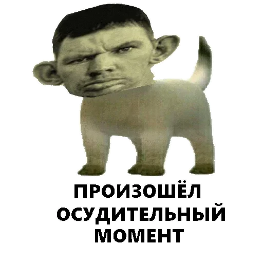 Стикер из набора "ArePek memes"