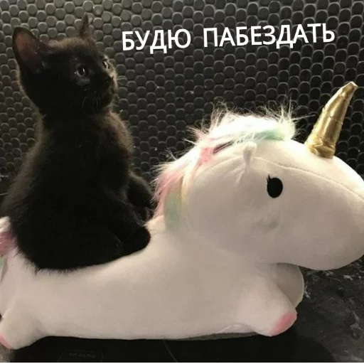 Sticker from the "КотикЦмок" sticker pack