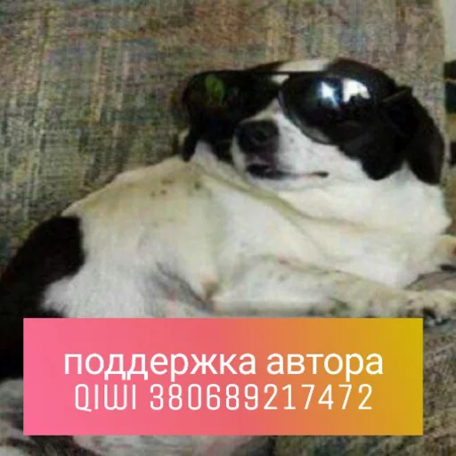 Sticker from the "КотикЦмок" sticker pack