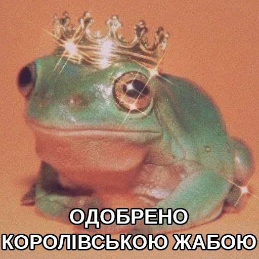 Sticker from the "жаби йопта" sticker pack