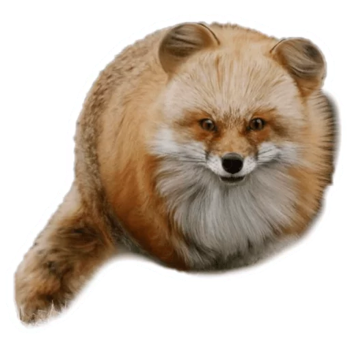 Sticker from the "Round Animals" sticker pack