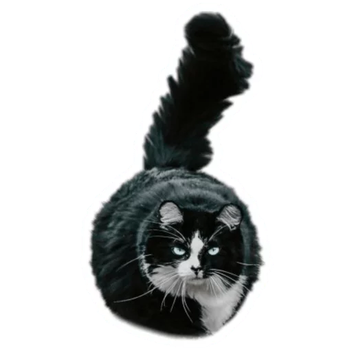 Sticker from the "Round Animals" sticker pack