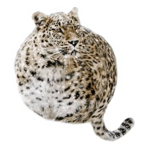 Sticker from the "Round Animals" sticker pack