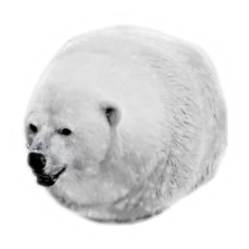 Sticker from the "Round Animals" sticker pack